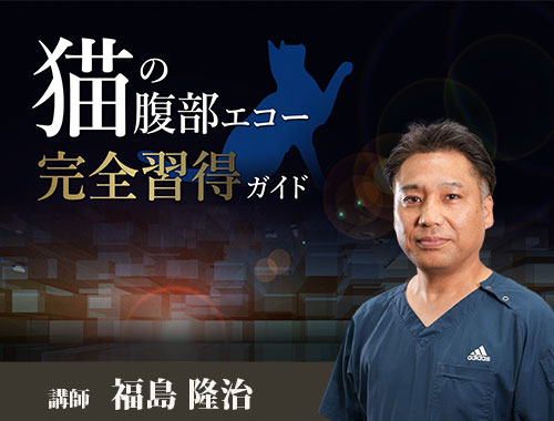 「猫」の腹部エコー完全習得ガイド