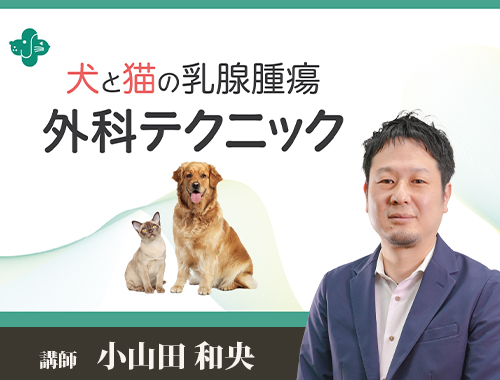 犬と猫の乳腺腫瘍外科テクニック