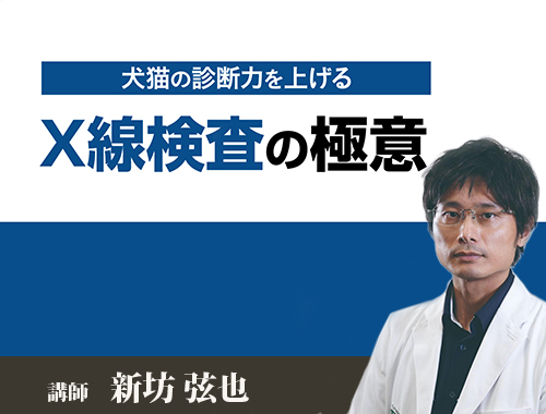 犬猫の診断力を上げるX線検査の極意