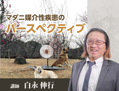 マダニ媒介性疾患のパースペクティブ